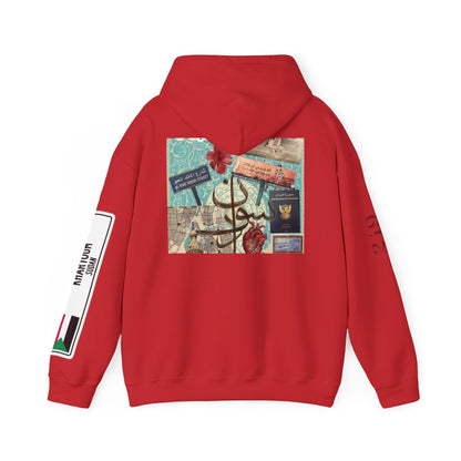 Sudan Collage Hoodie – Arabic Calligraphy Passport Art Pullover